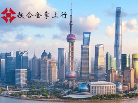 上海掌上行科技有限公司视频介绍